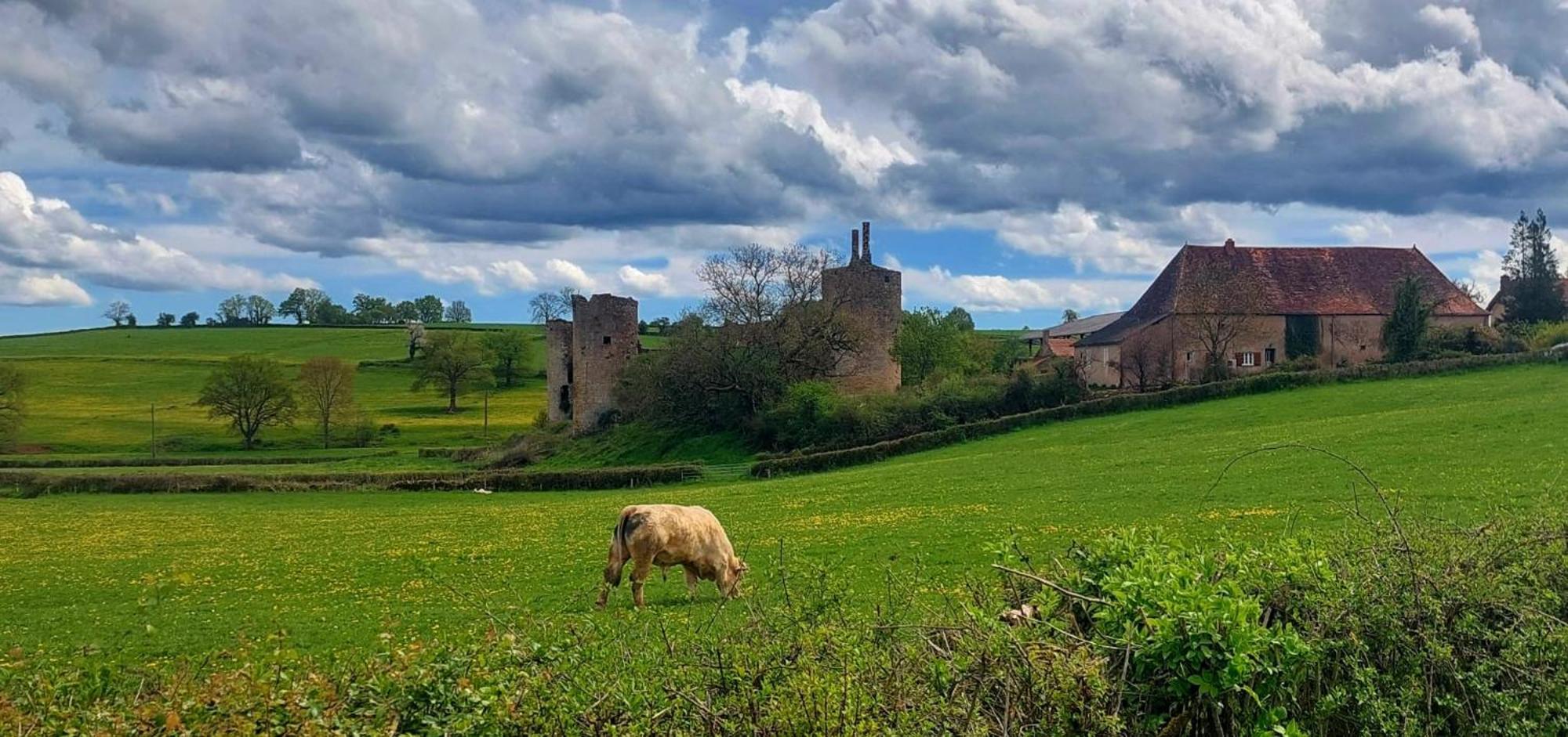 Maison Du Grand Moulin Saint-Aubin-en-Charollais Exteriör bild